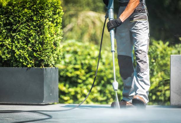 Best Dumpster Area Cleaning  in San Felipe, TX
