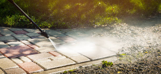 Best Building Exterior Washing  in San Felipe, TX