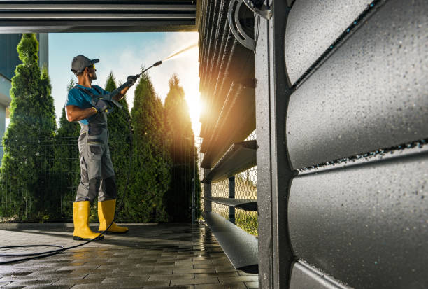 Best Graffiti Removal  in San Felipe, TX